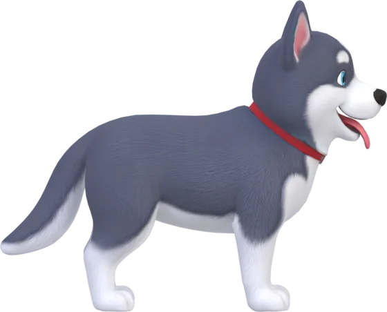 Husky